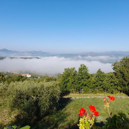 Casa Annella Bed & Breakfast Melizzano Eksteriør bilde